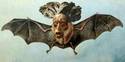 mutantbat