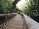 Treetop boardwalk