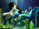 Subaquatic Beauty 