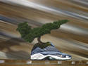 Nike Bonsai