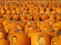 Pumkinheads