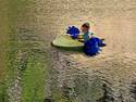 Paddle Boat Kid