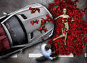 american beauty r.i.p.