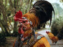 Chichen Itza Rooster.