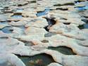 Danger at low tide