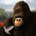 Humble kong