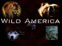 Wild America