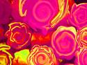 Psychedelic Roses