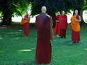 Buddhist Monks