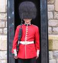 Royal Guard