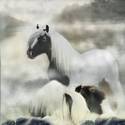 Water Horse