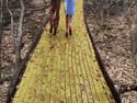 The yellow brick road