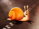 Snail