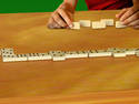 Dominoes Player