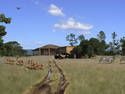 Savanna Homestead