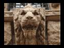 Petrified Lion (GIF)