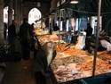 Fish Market