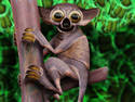 Tarsier called Bob