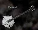 Roland Guitar