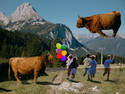 Balloons, cheerful kids