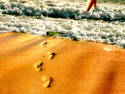 Footprints in the sand