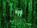 Inside the Matrix