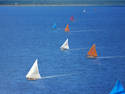 Sailing Regatta