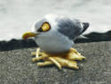 Angry Gull