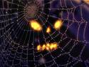 Hallowed Web