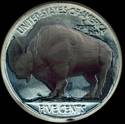 Buffalo Nickel