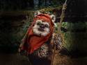 EWOK VILLAGE 