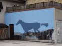 HORSE SHADOW GIF