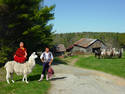 Anfa's Llama Farm