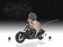 helmet mouse