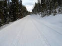 Tire Tracks on Snow