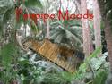 Jungle Panpipes