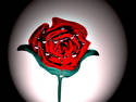 Pretty Rose