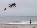 Granparent Kite Flying