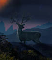 king deer