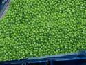 Pea Flood