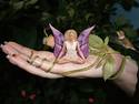 Meditating Fairy