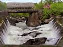 Scenic Multi-Falls