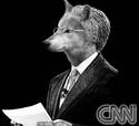 WolfWhiteFangBlitzer