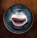 Shark in a Bucket (updat