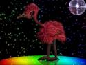 Disco Emu