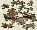 Jigsaw Madness