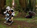 Endor Playground