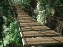 Jungle Rope Bridge