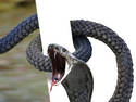 SSSSSSSSSSSSSSSSSSSSSSSS