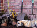 Gardening With Dad